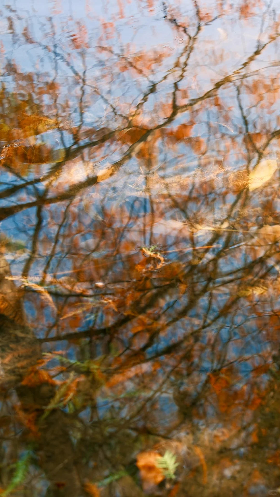 60r在南京燕雀湖拍的，感觉超值～