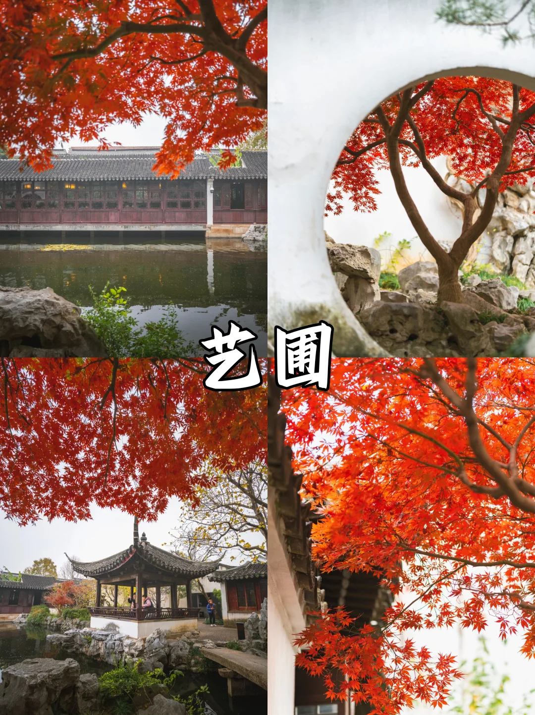 苏州限定❗苏州赏秋必打卡地来啦🔔快收藏✅