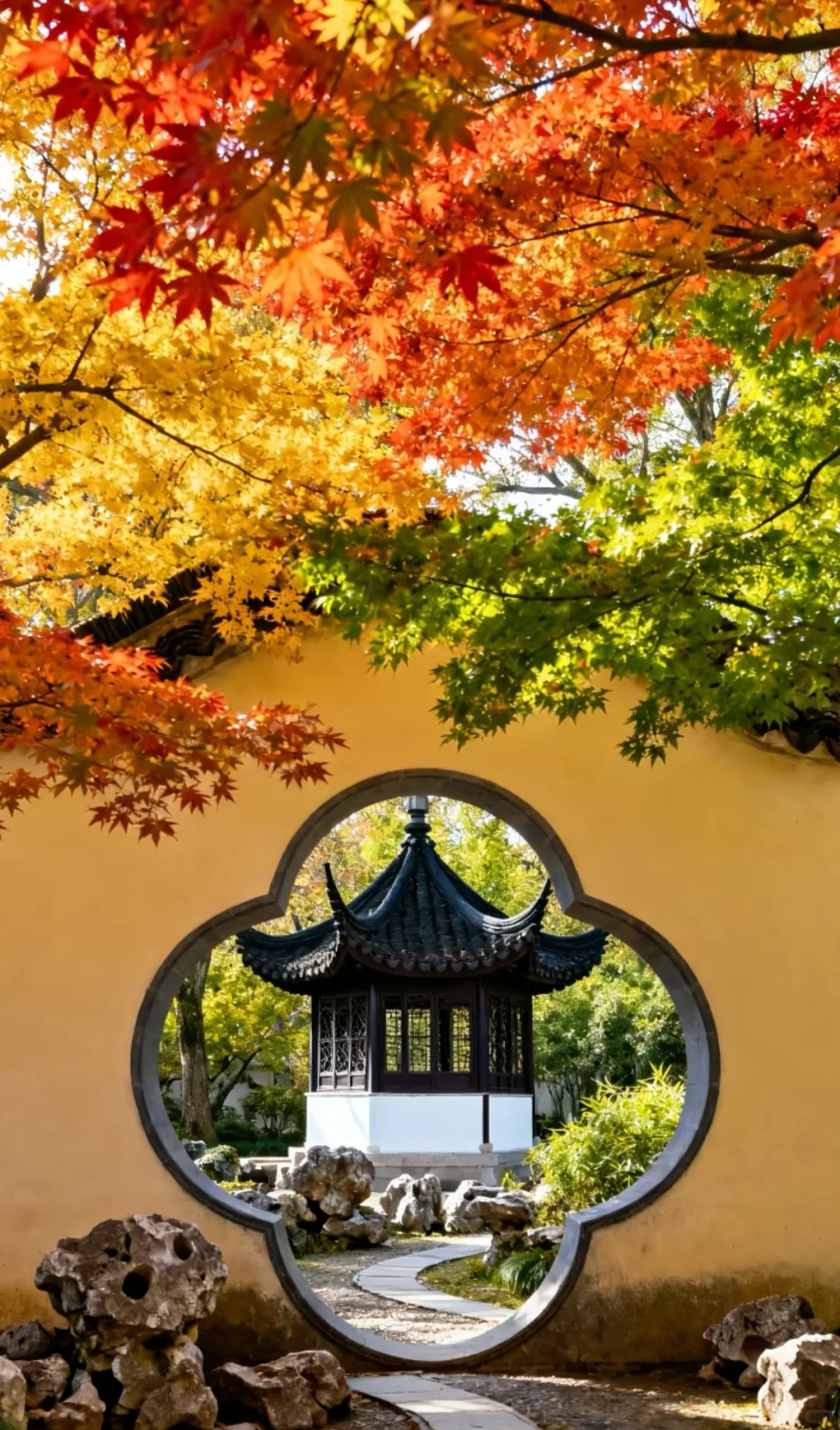 🍂苏州秋天天花板！8个必打卡地美到窒息