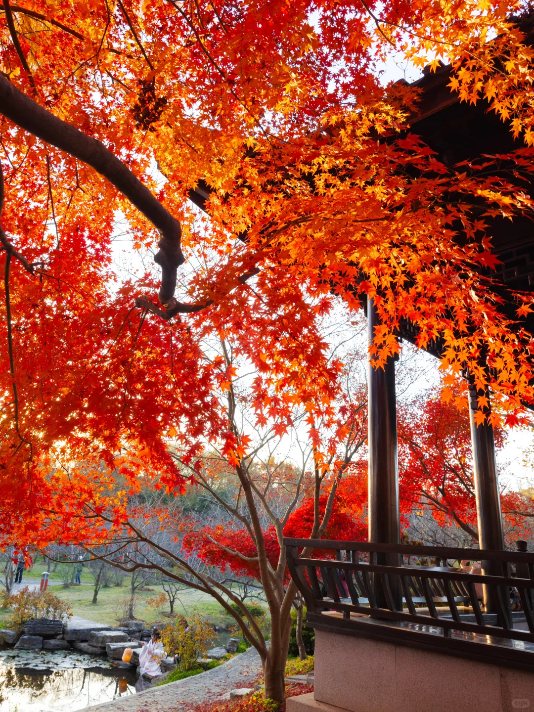 爱回收｜现在来南京赏秋🍁就去这9个地方