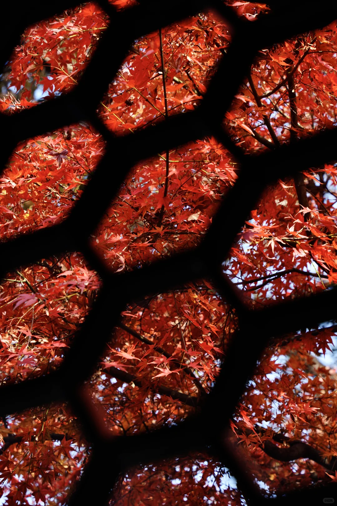 苏州周末两日游C