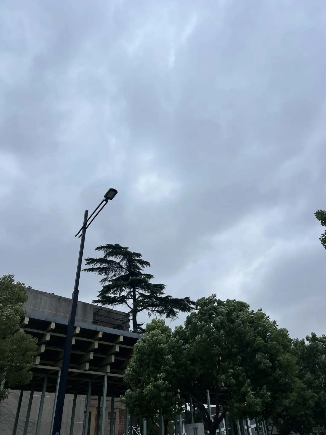 苏州下雪的天气