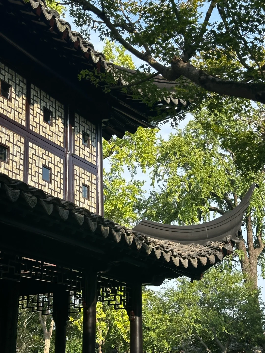 在苏州的诗词里，寻一场烟雨行舟🍃