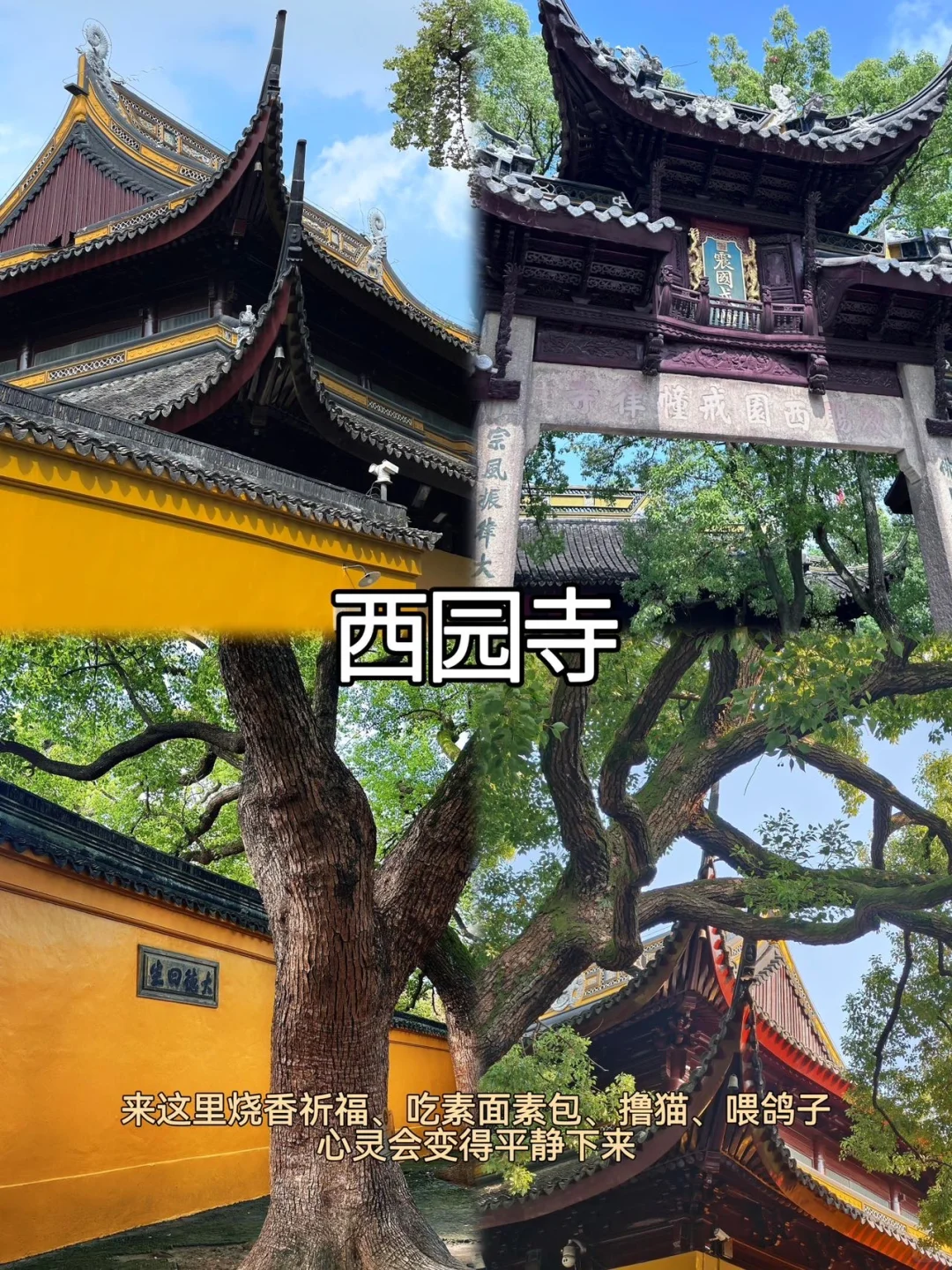 苏州📍两天一夜｜保姆级精华版逛吃攻略📝