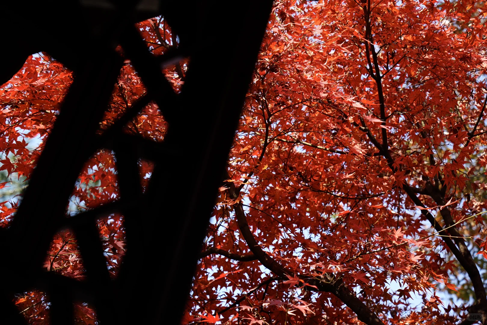 苏州周末两日游C