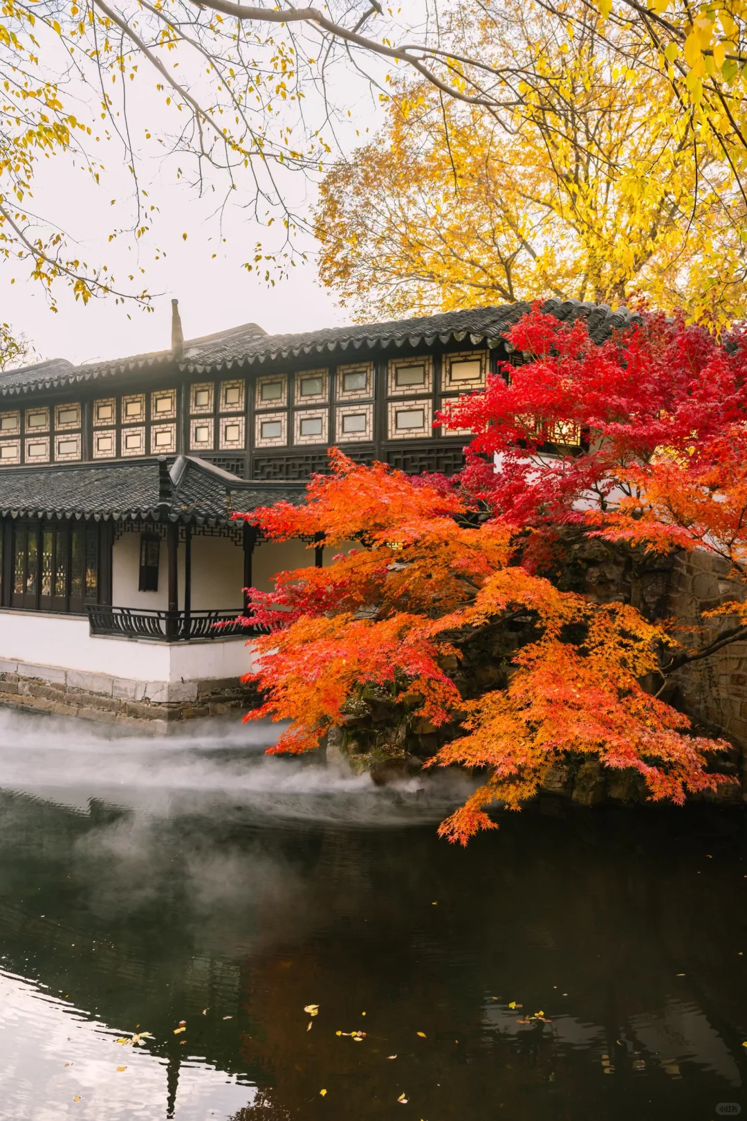接下来的苏州，堪称秋日旅行天花板🍁