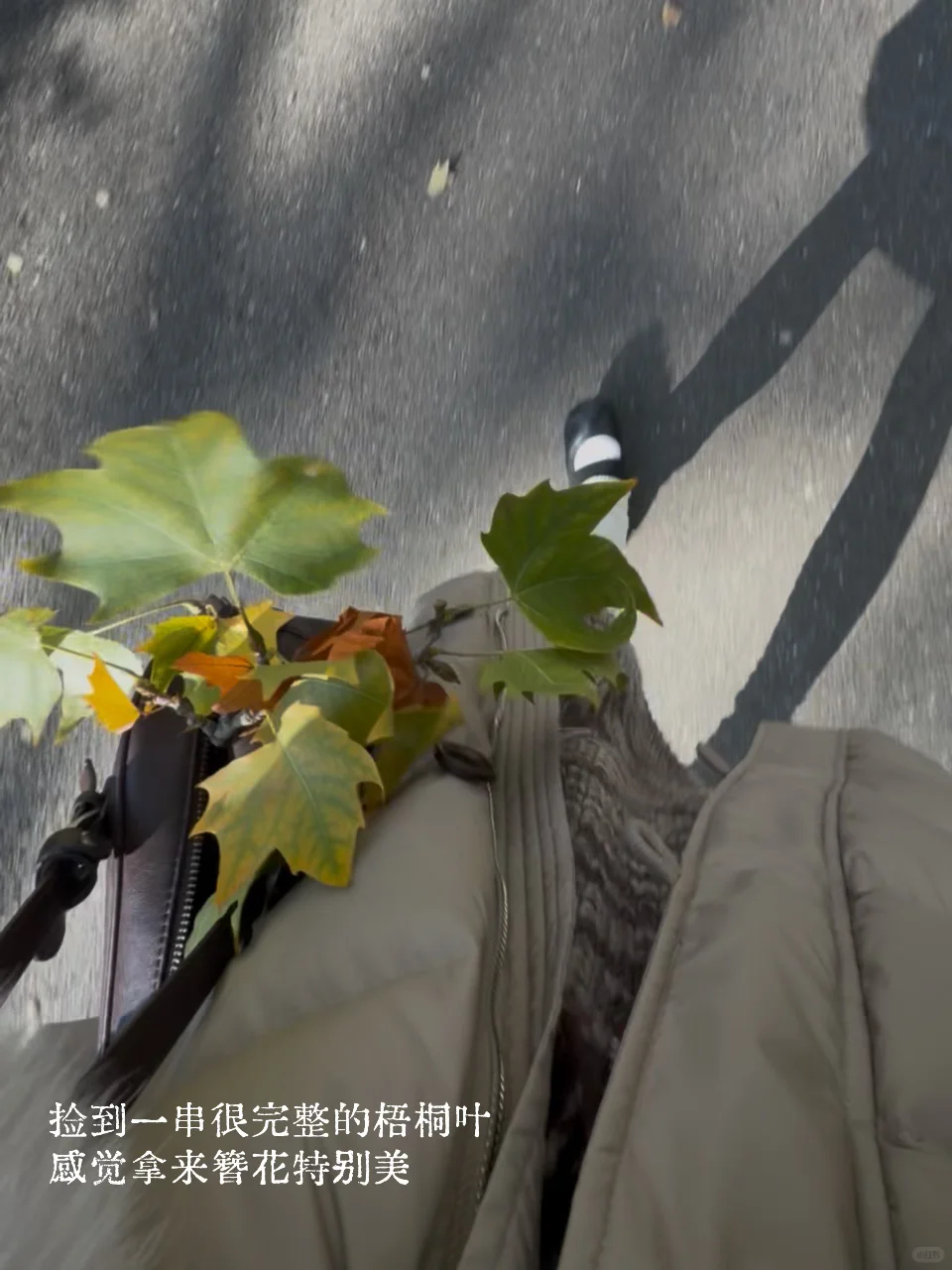 南京梧桐大道给我送热水的帅哥