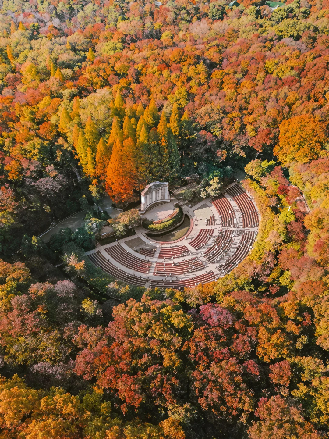 如果错过南京的秋天🍁该有多遗憾呢！