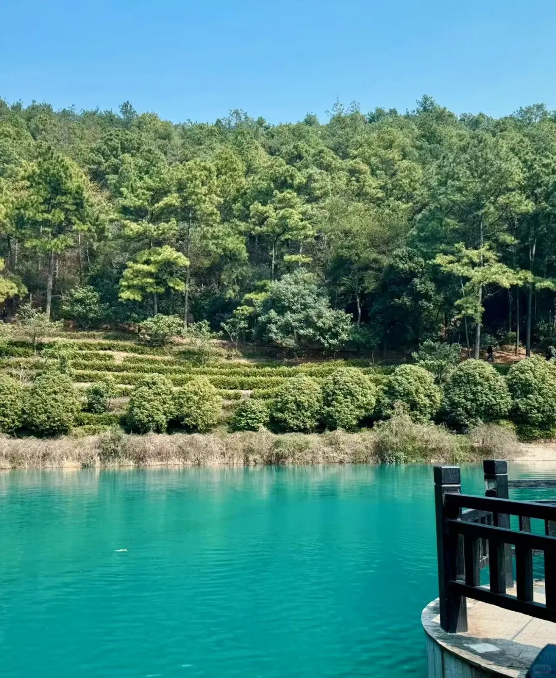 本周日苏州旺山徒步