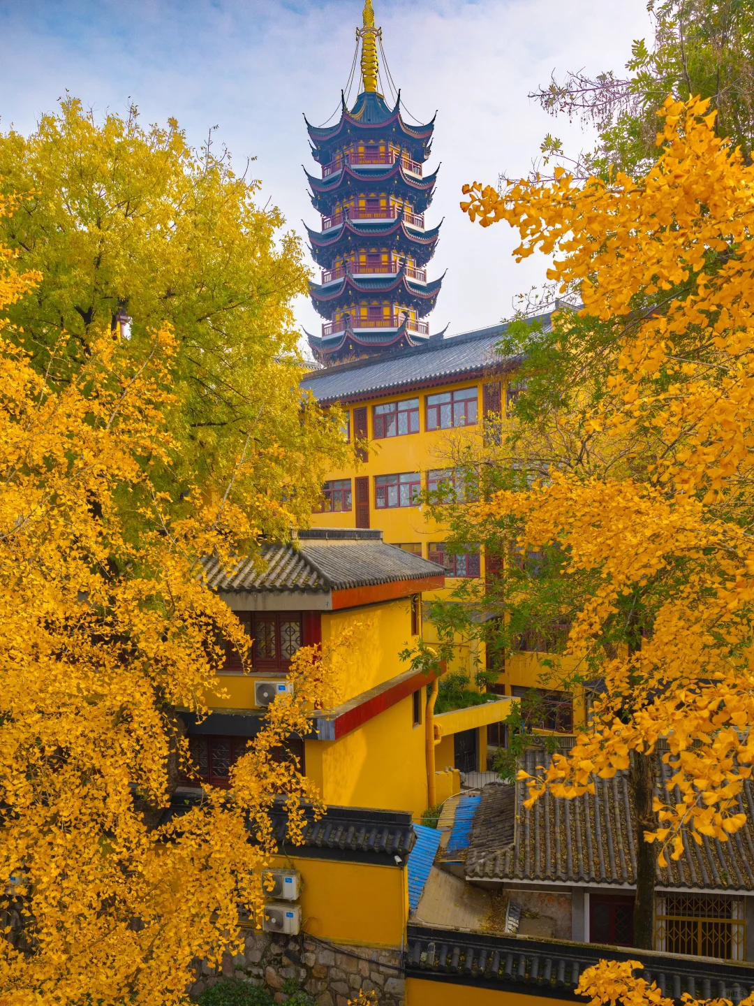 爱回收｜现在来南京赏秋🍁就去这9个地方