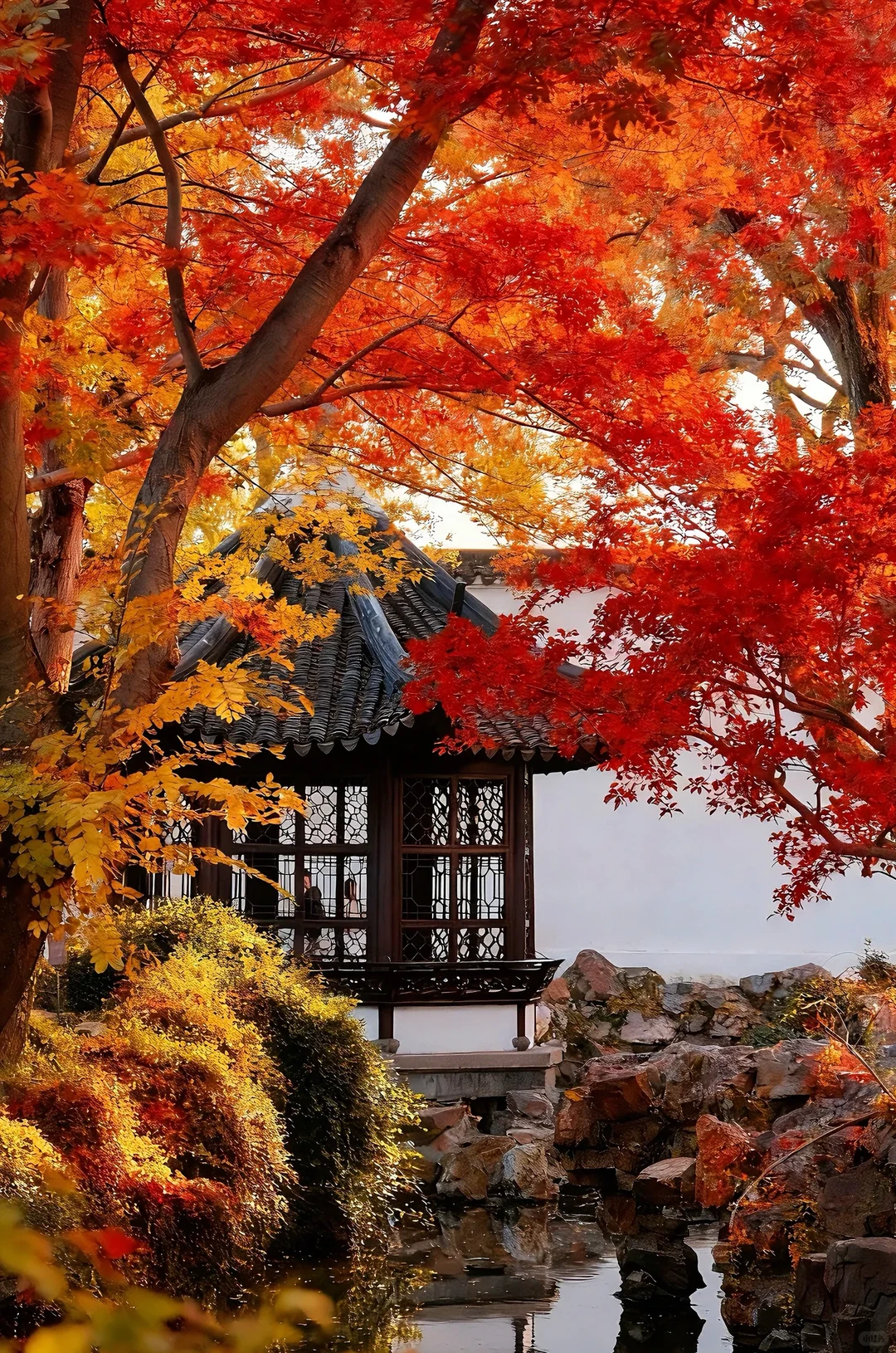 🍂苏州秋天天花板！8个必打卡地美到窒息