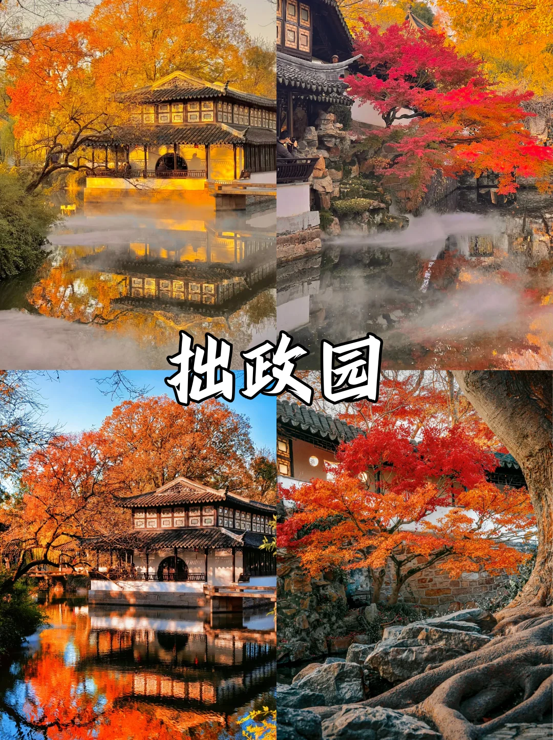 苏州限定❗苏州赏秋必打卡地来啦🔔快收藏✅