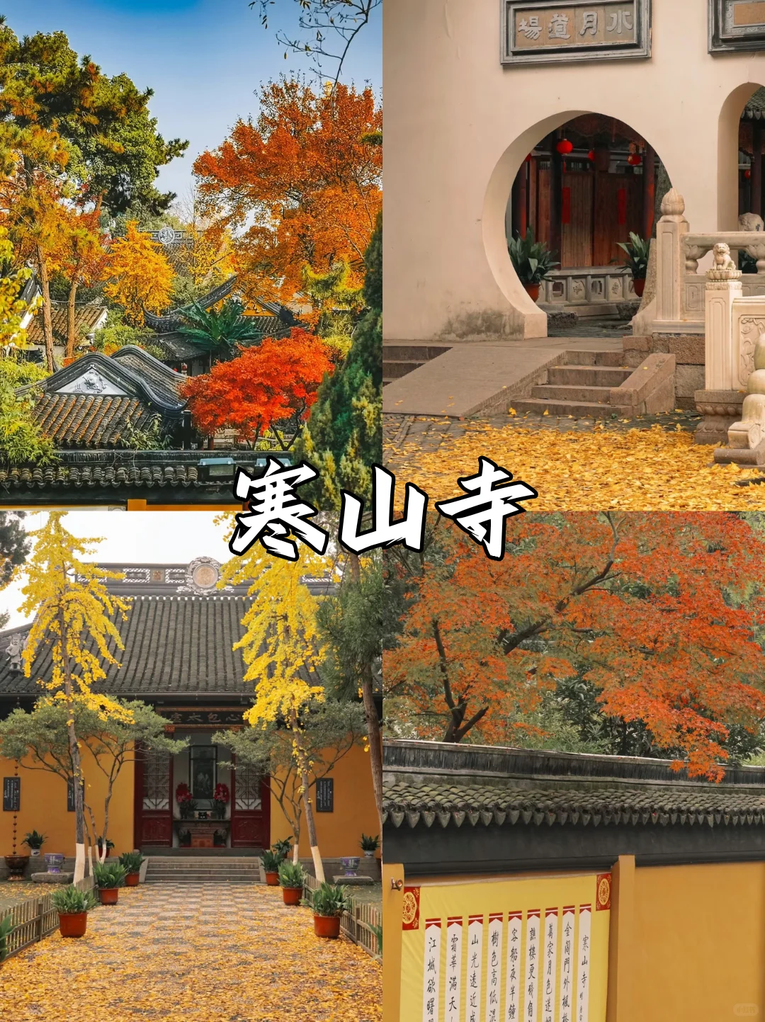 苏州限定❗苏州赏秋必打卡地来啦🔔快收藏✅