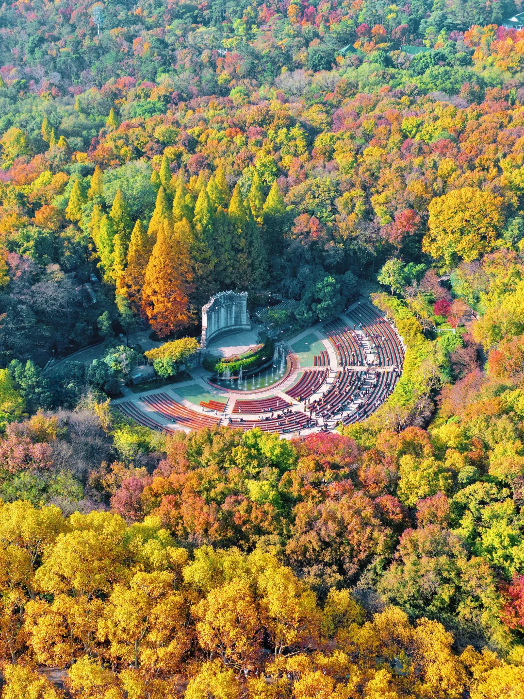 我夸南京秋天一万遍🍂抵不上你亲眼来看一遍