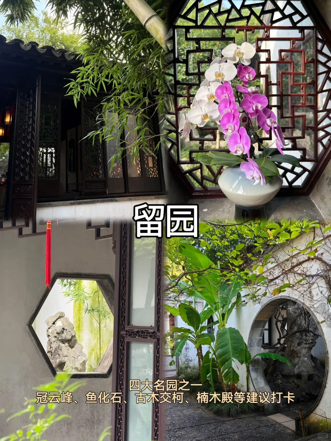 苏州📍两天一夜｜保姆级精华版逛吃攻略📝