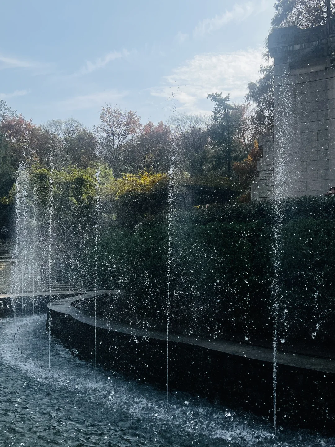 📍南京音乐台，来看看🕊️鸽子