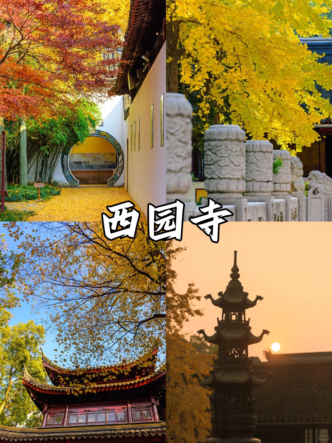 苏州限定❗苏州赏秋必打卡地来啦🔔快收藏✅