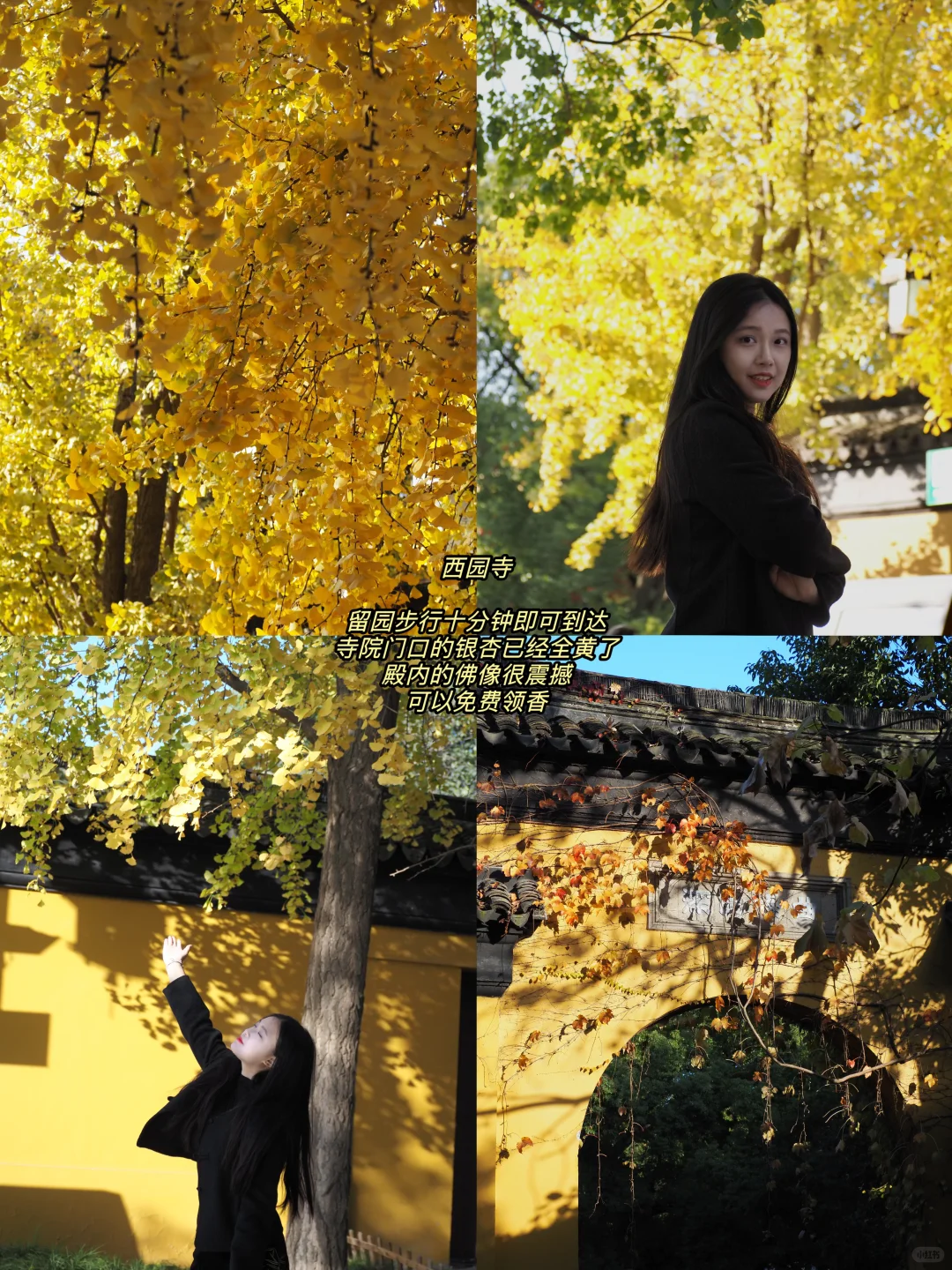 听说你准备要去苏州赏秋，提前帮你探探路