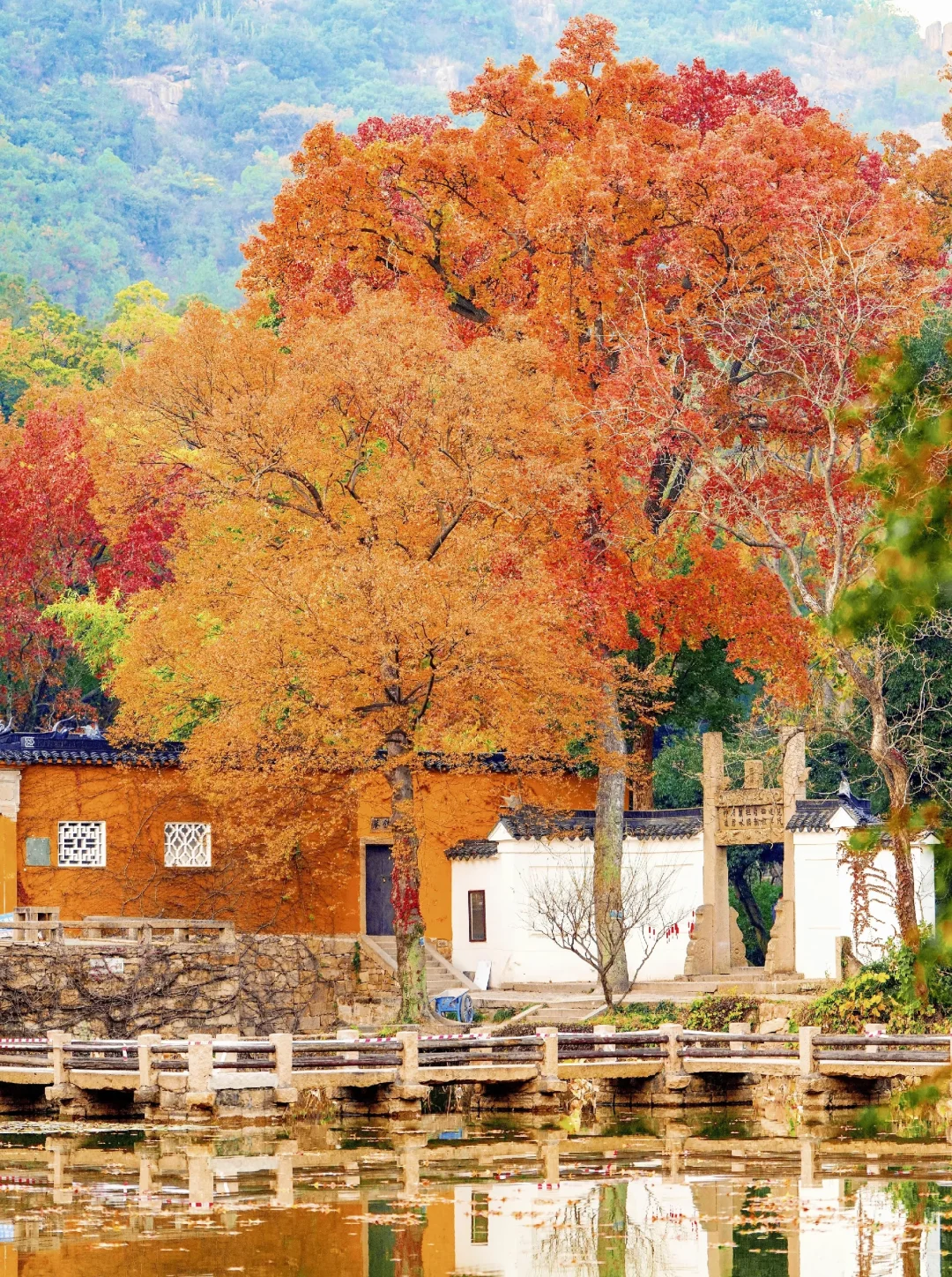 🍂苏州秋天天花板！8个必打卡地美到窒息