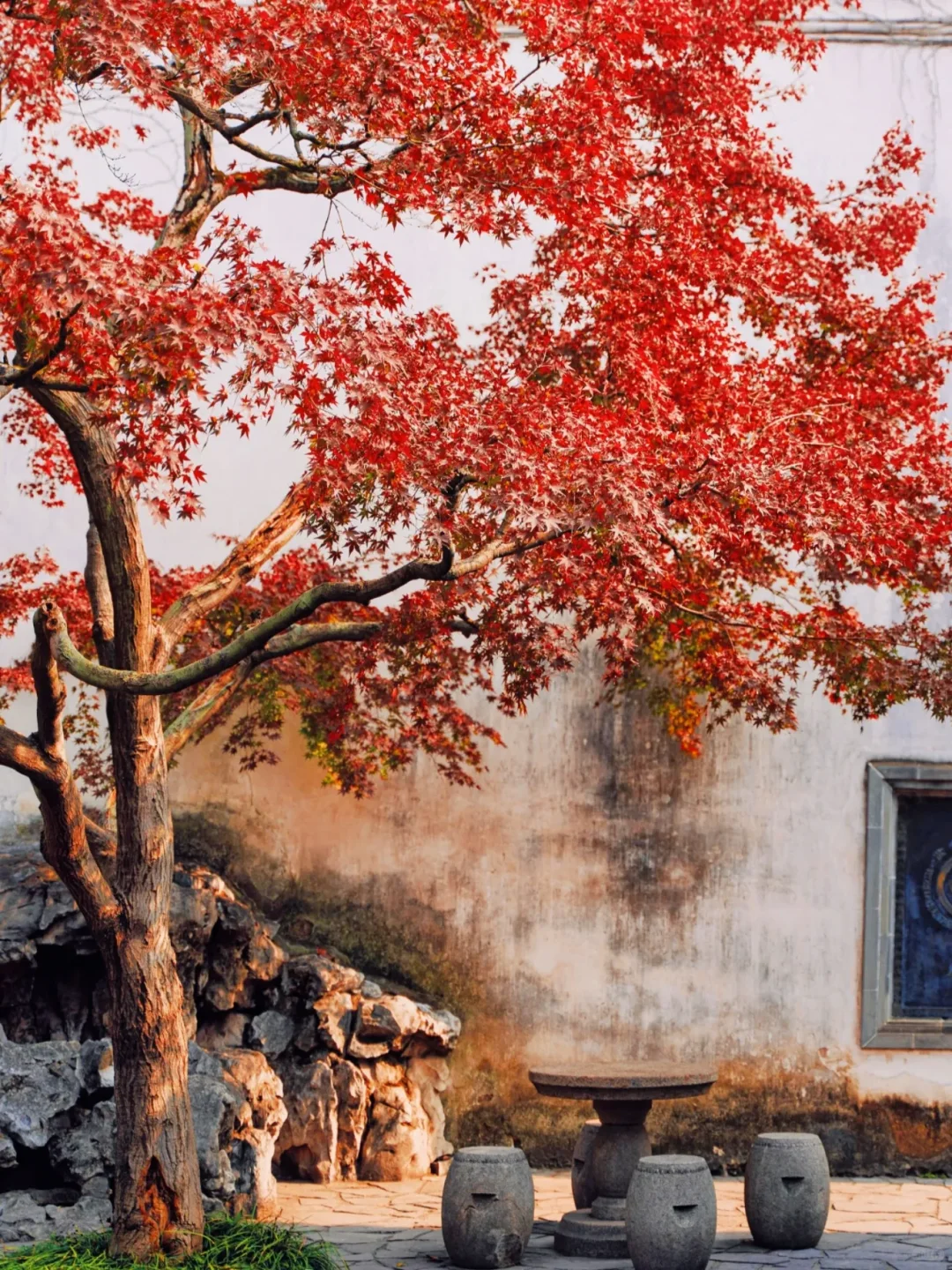 🍂苏州秋天天花板！8个必打卡地美到窒息