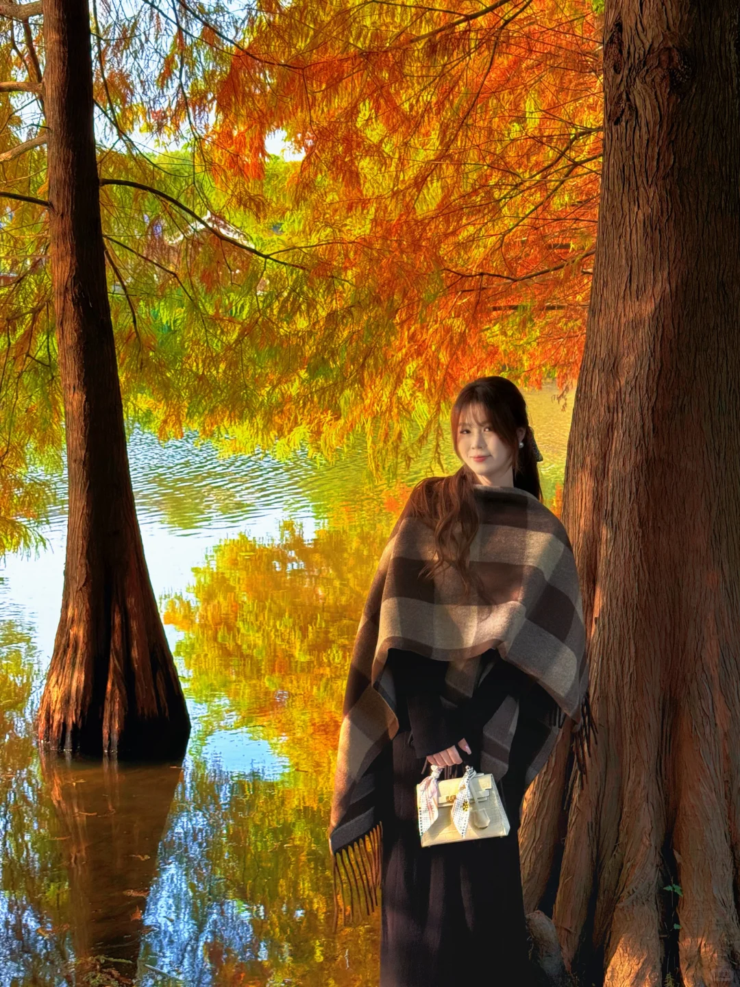 11.10实拍❗️南京落羽杉林已美成一幅画🖼️