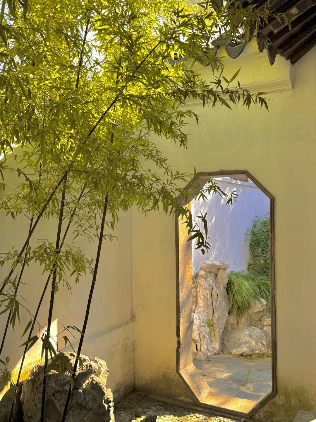 千万别在10-11月去苏州，我怕你来了不想走‼️