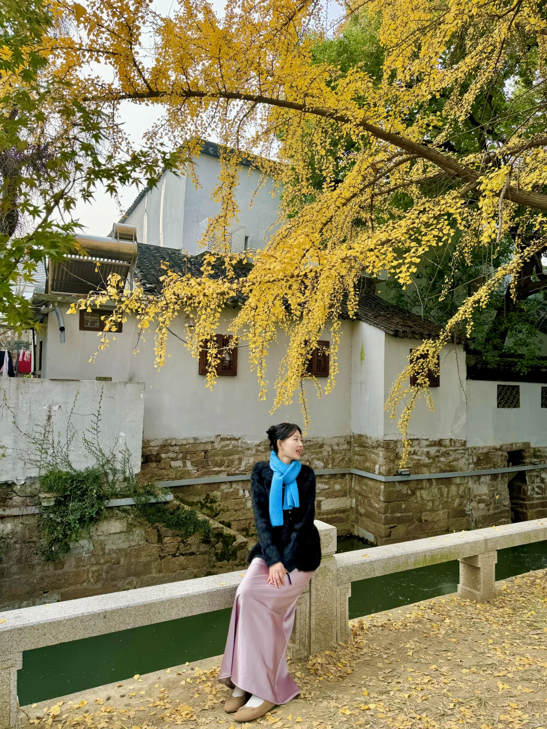 📍苏州赏秋🍁超详细2天1晚citywalk路线攻略