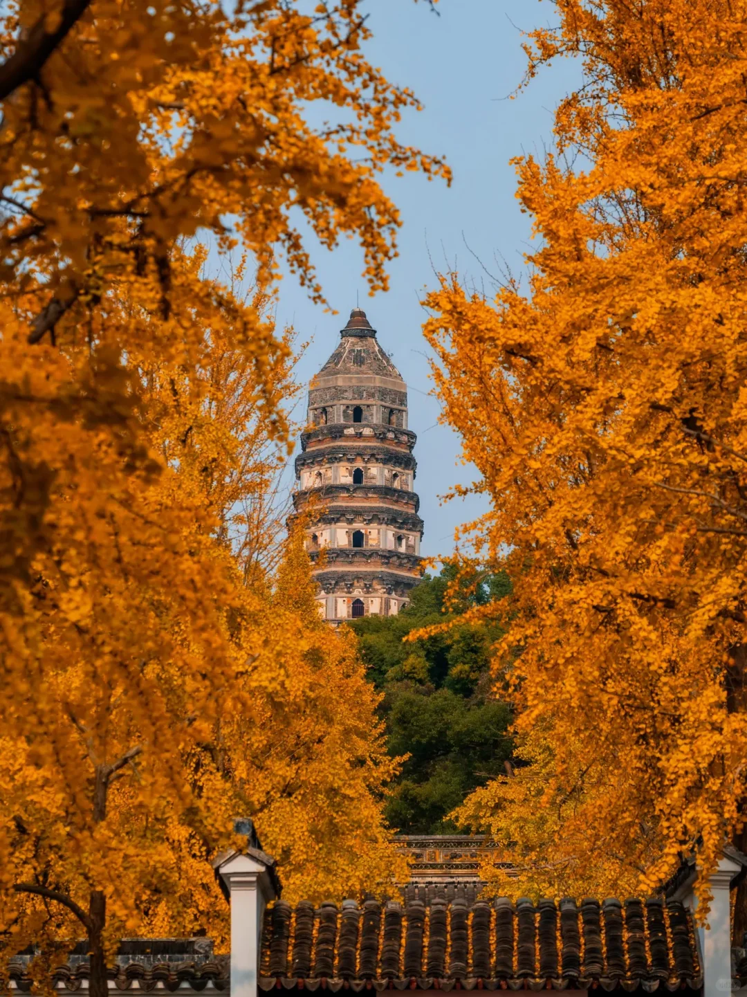 🍂苏州秋天天花板！8个必打卡地美到窒息