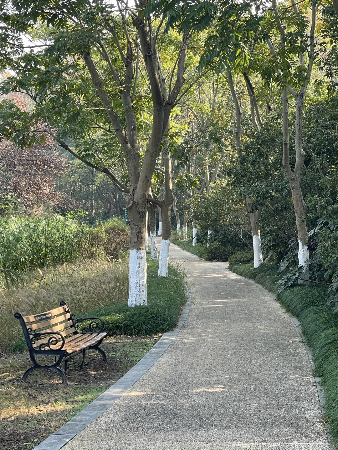 苏州昆山城市生态森林公园