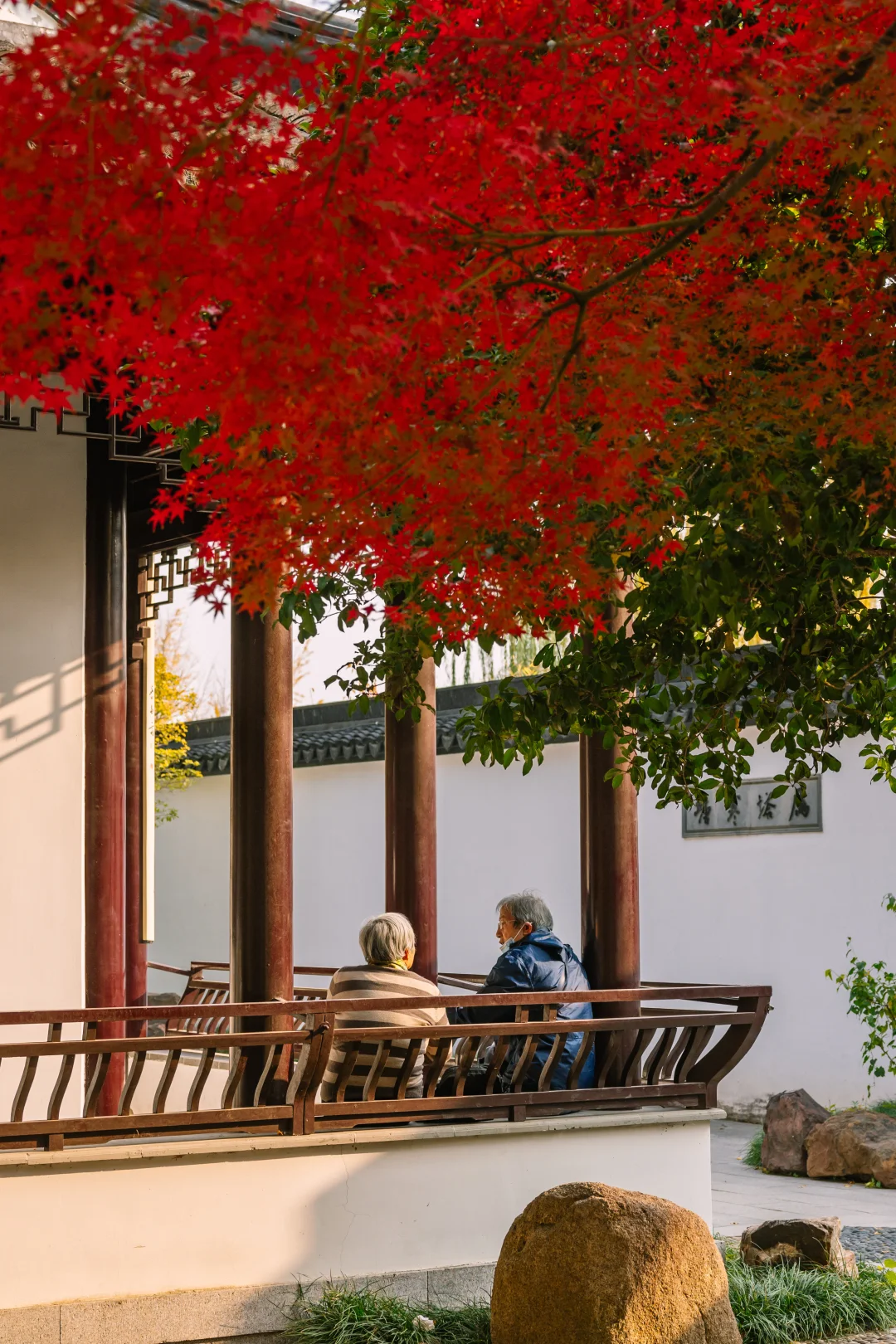 接下来的苏州，堪称秋日旅行天花板🍁
