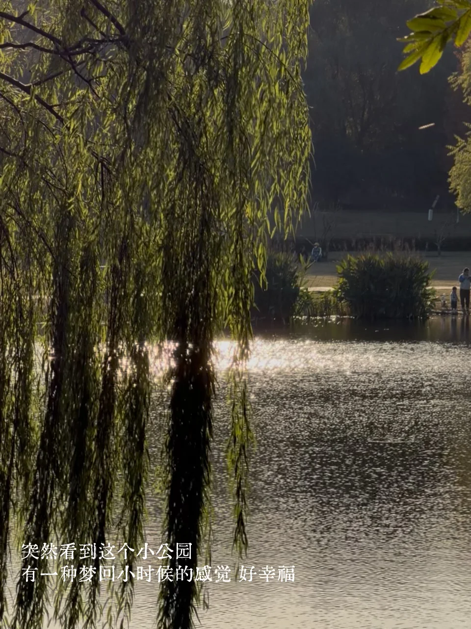 南京梧桐大道给我送热水的帅哥