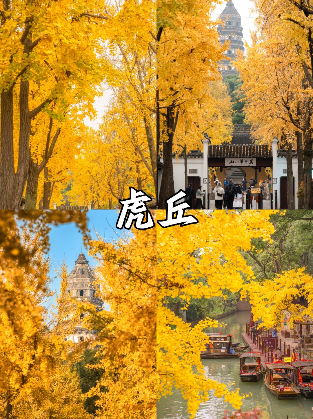 苏州限定❗苏州赏秋必打卡地来啦🔔快收藏✅