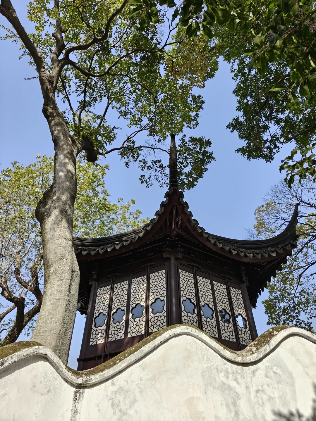 苏州园林｜拙政园