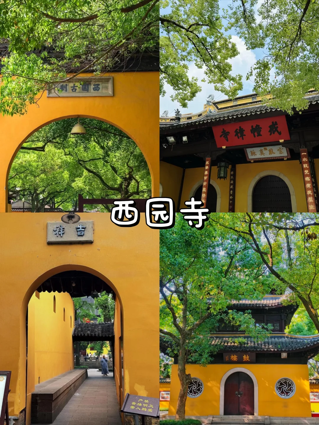 极限特种兵🚶‍♂️之苏州两天一晚旅游攻略📷