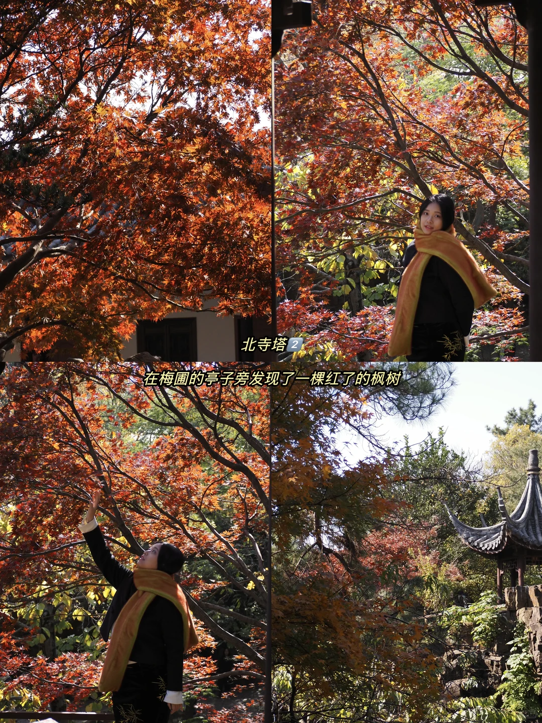 听说你准备要去苏州赏秋，提前帮你探探路