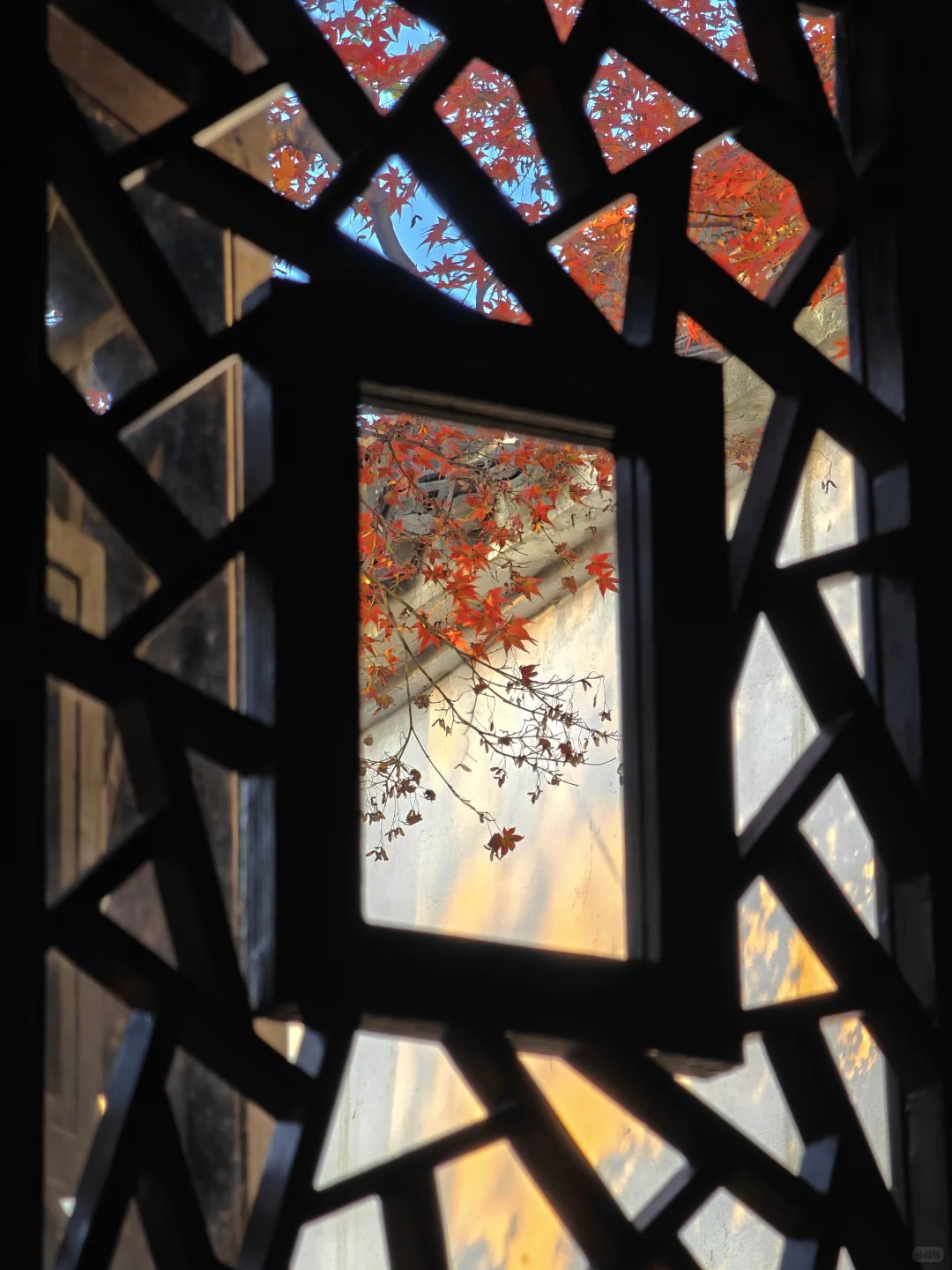 你这周来苏州可以拍什么(11.17日-11.23日)