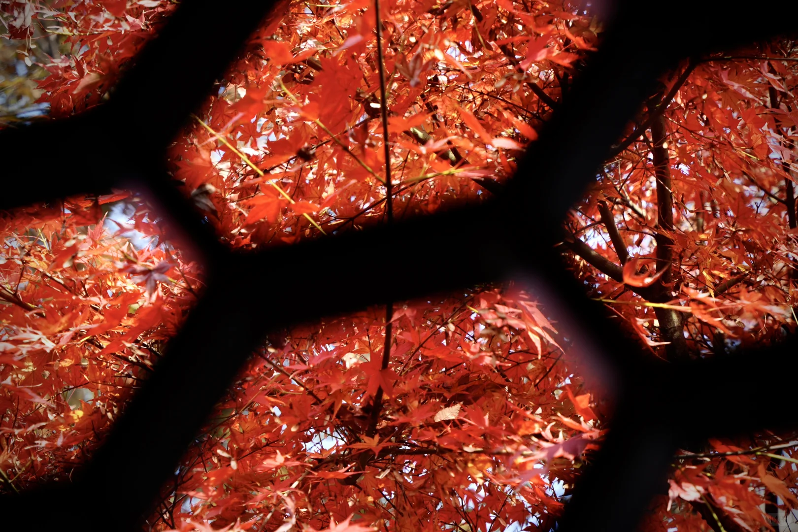 苏州周末两日游C