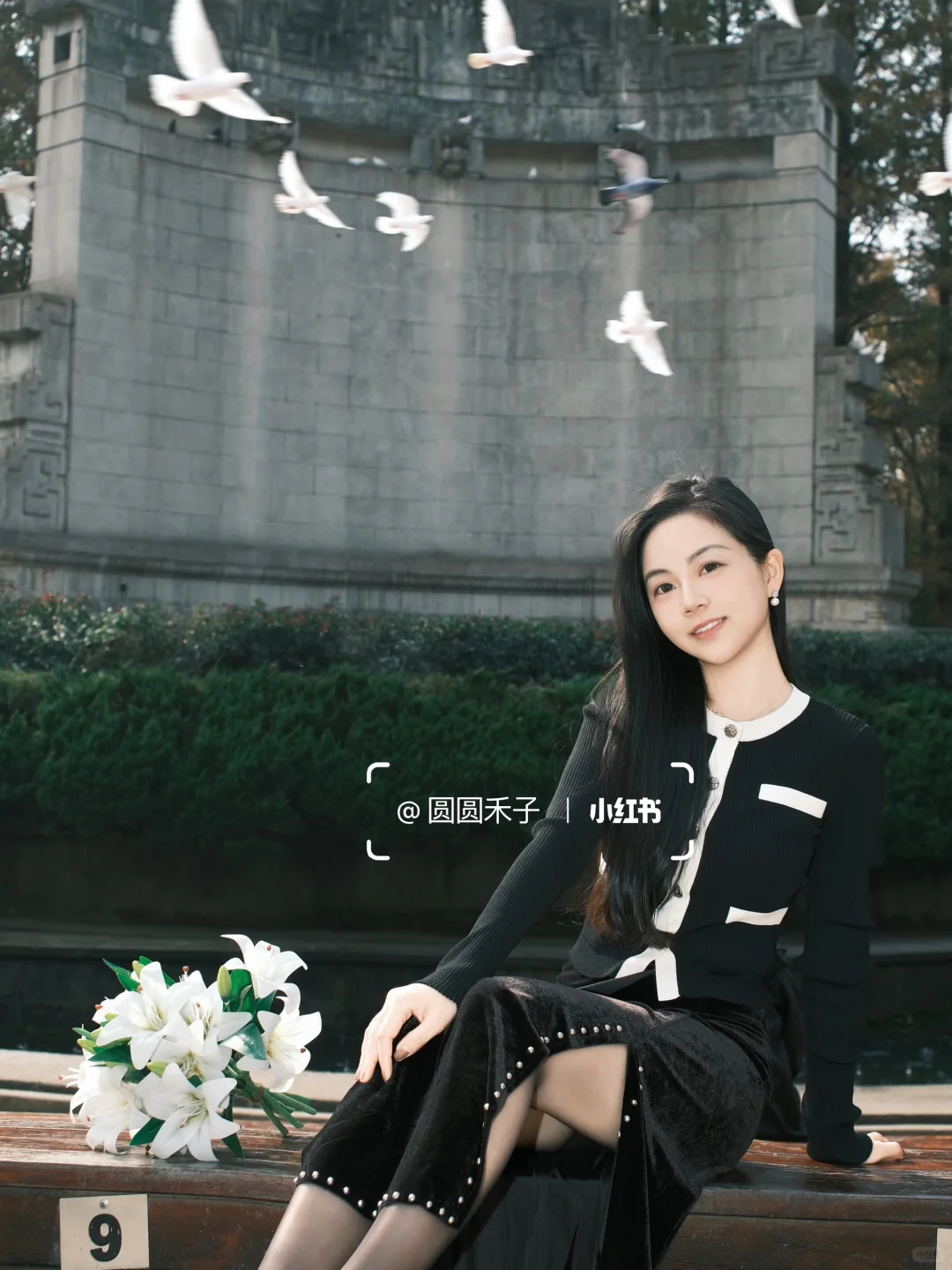 📍南京音乐台，来看看🕊️鸽子