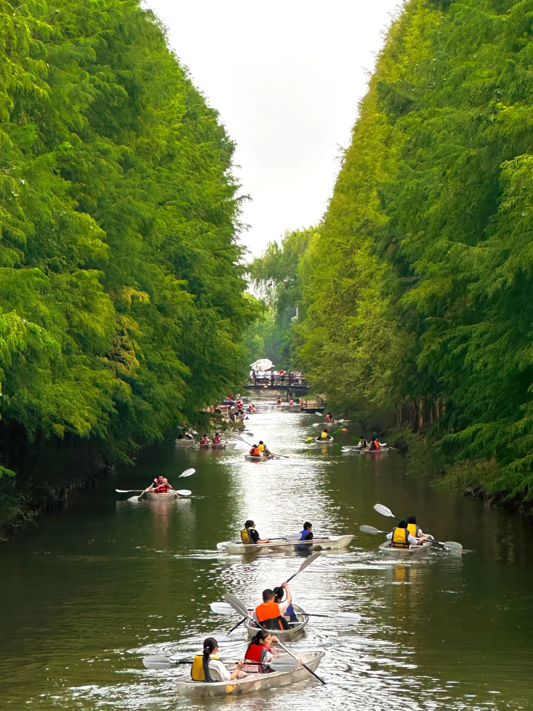 在苏州的诗词里，寻一场烟雨行舟🍃