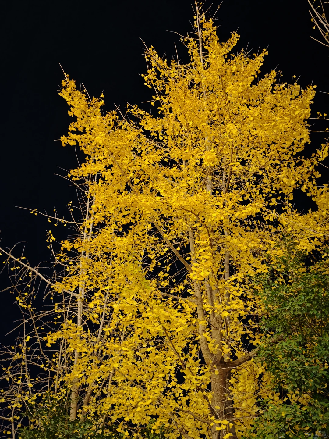 把子肉与IPA@徐州