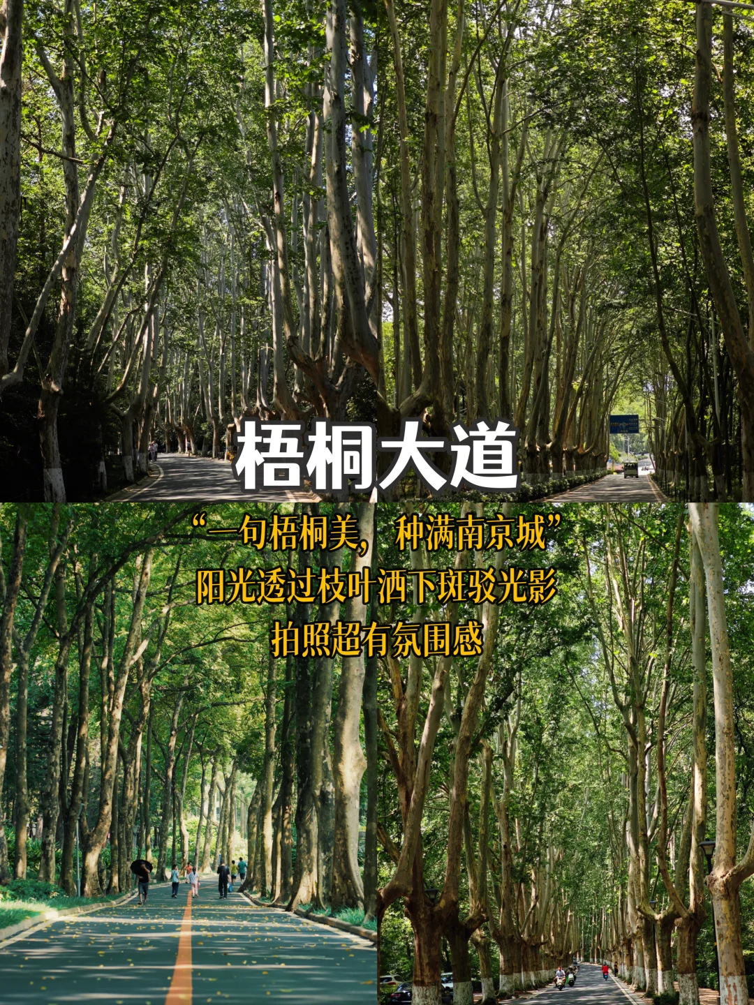 南京📍3天2夜 必去景点经典citywalk路线🏝️