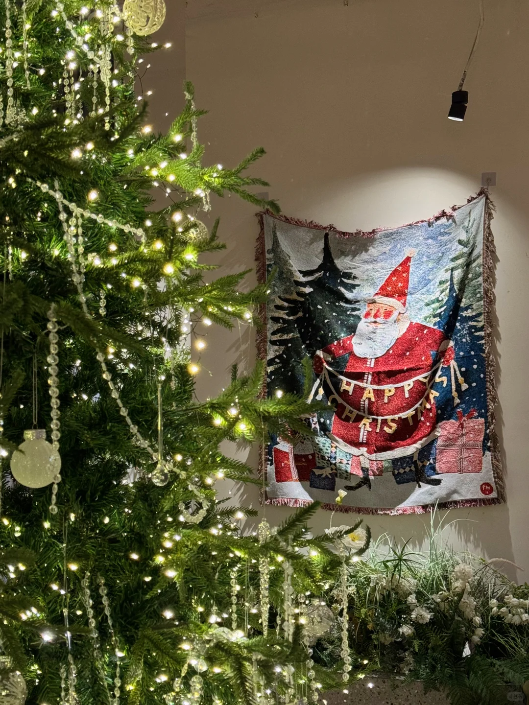 徐州圣诞漂亮饭✨约会圣地🎄