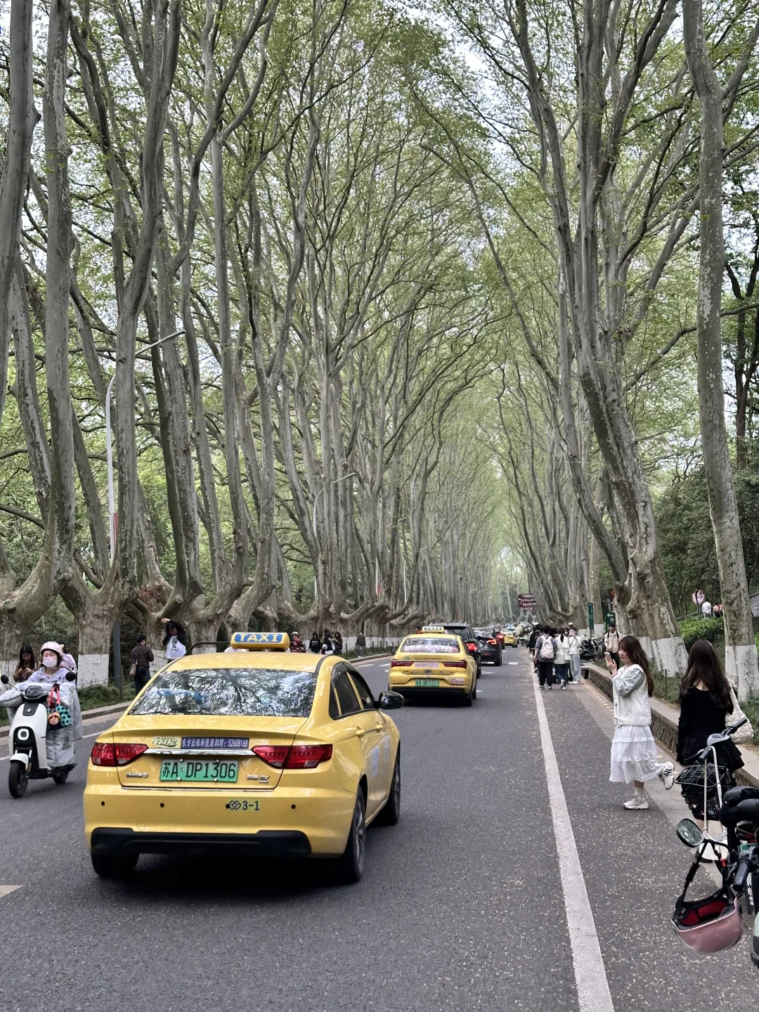 10张南京街道live图素材喜欢的宝宝免费拿