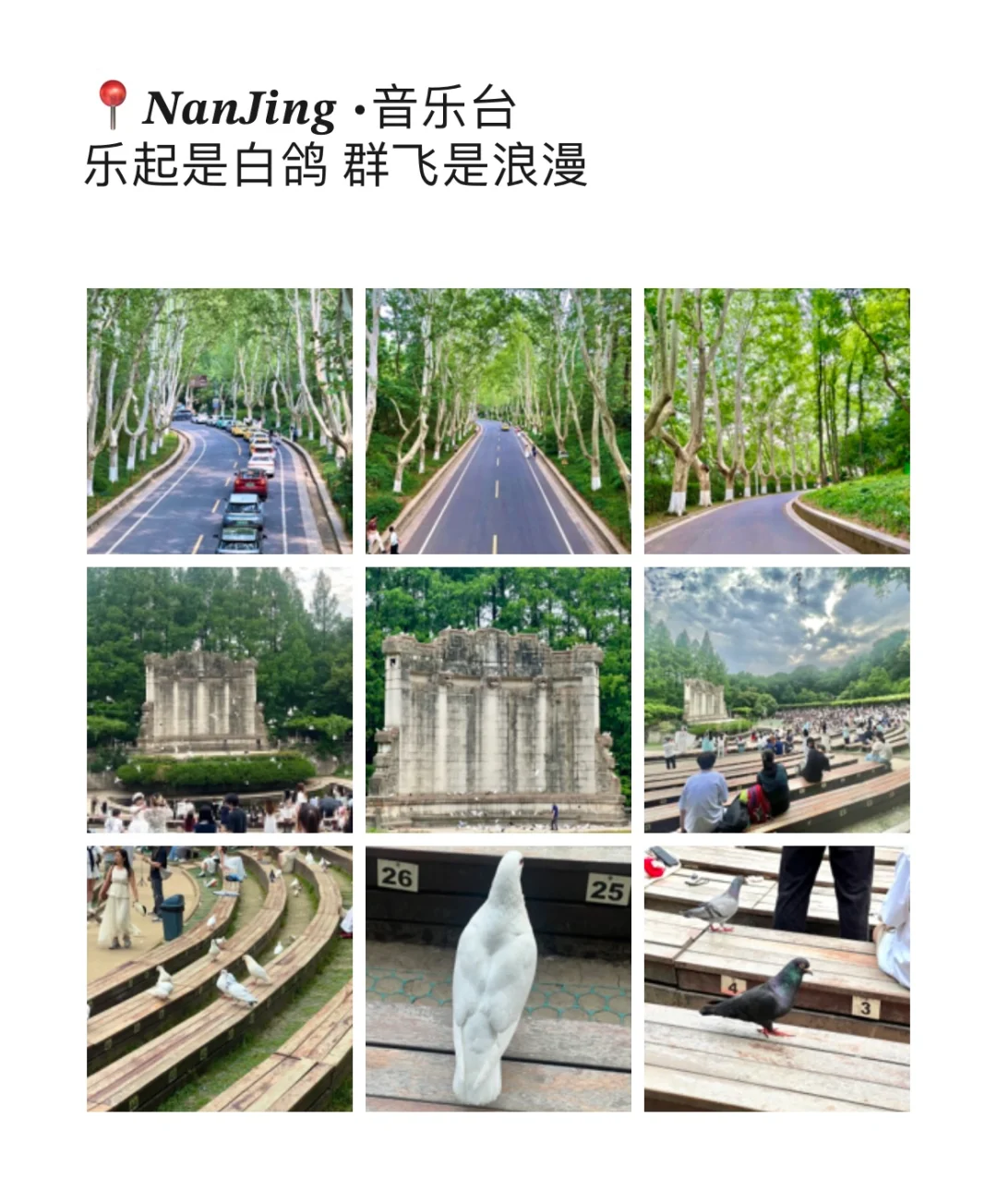 南京旅游朋友圈文案应该这样发