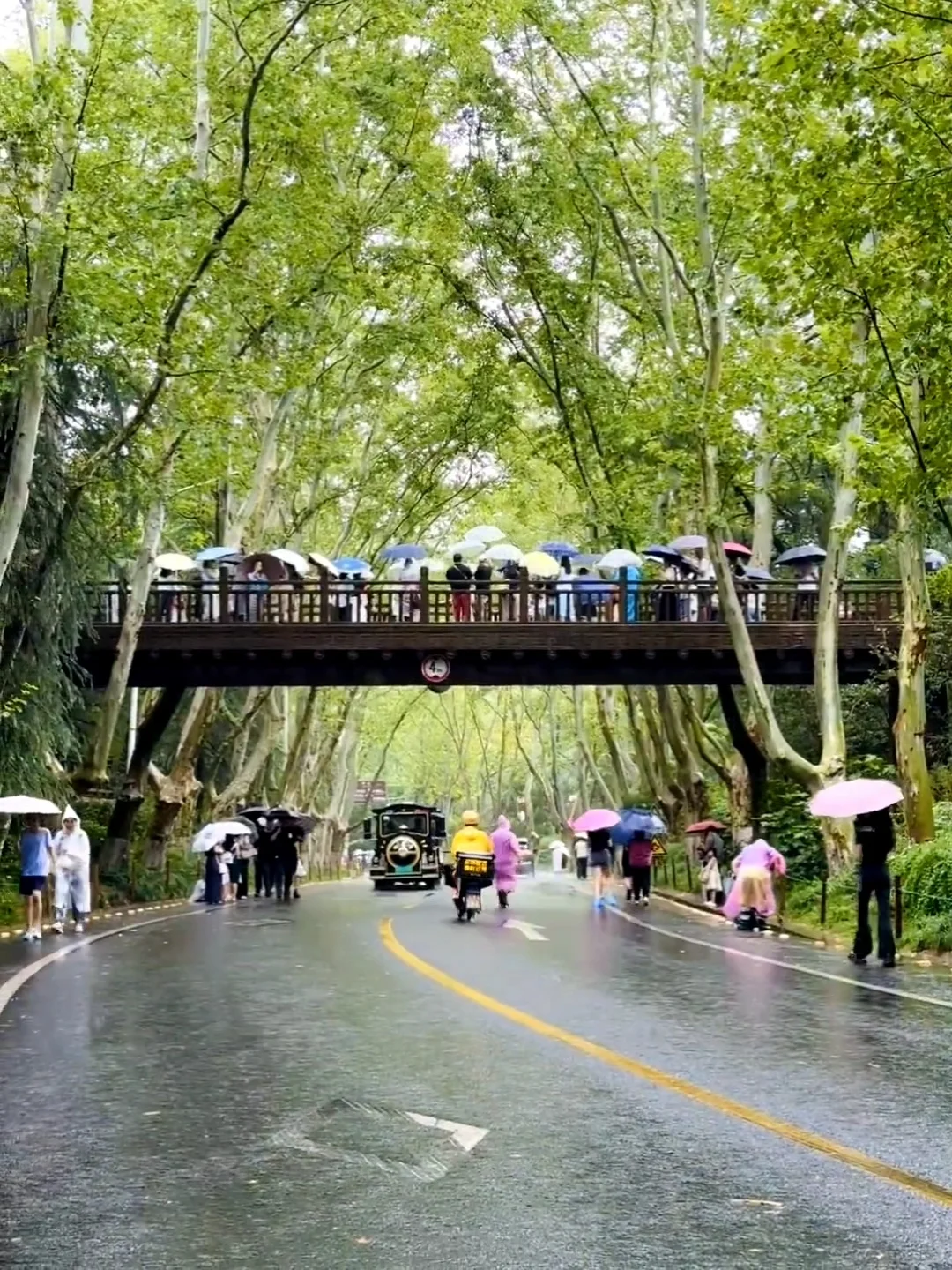 9.2📍南京现状😫计划去的宝子们听劝啦