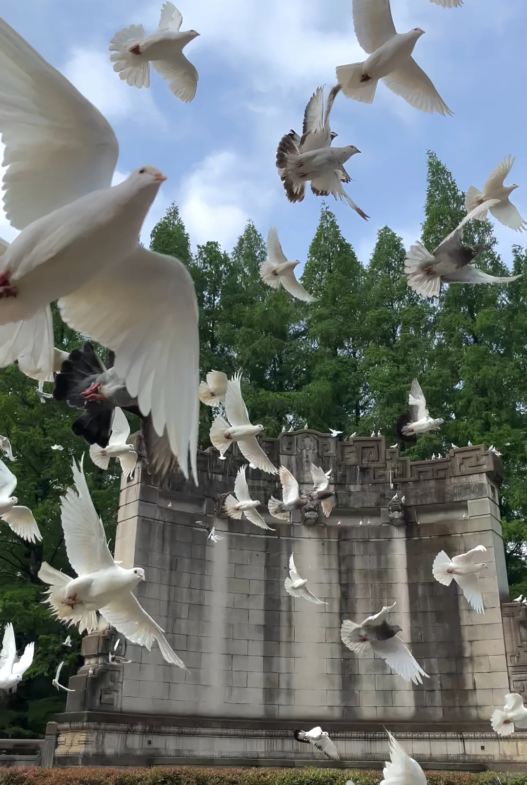 南京音乐台live图