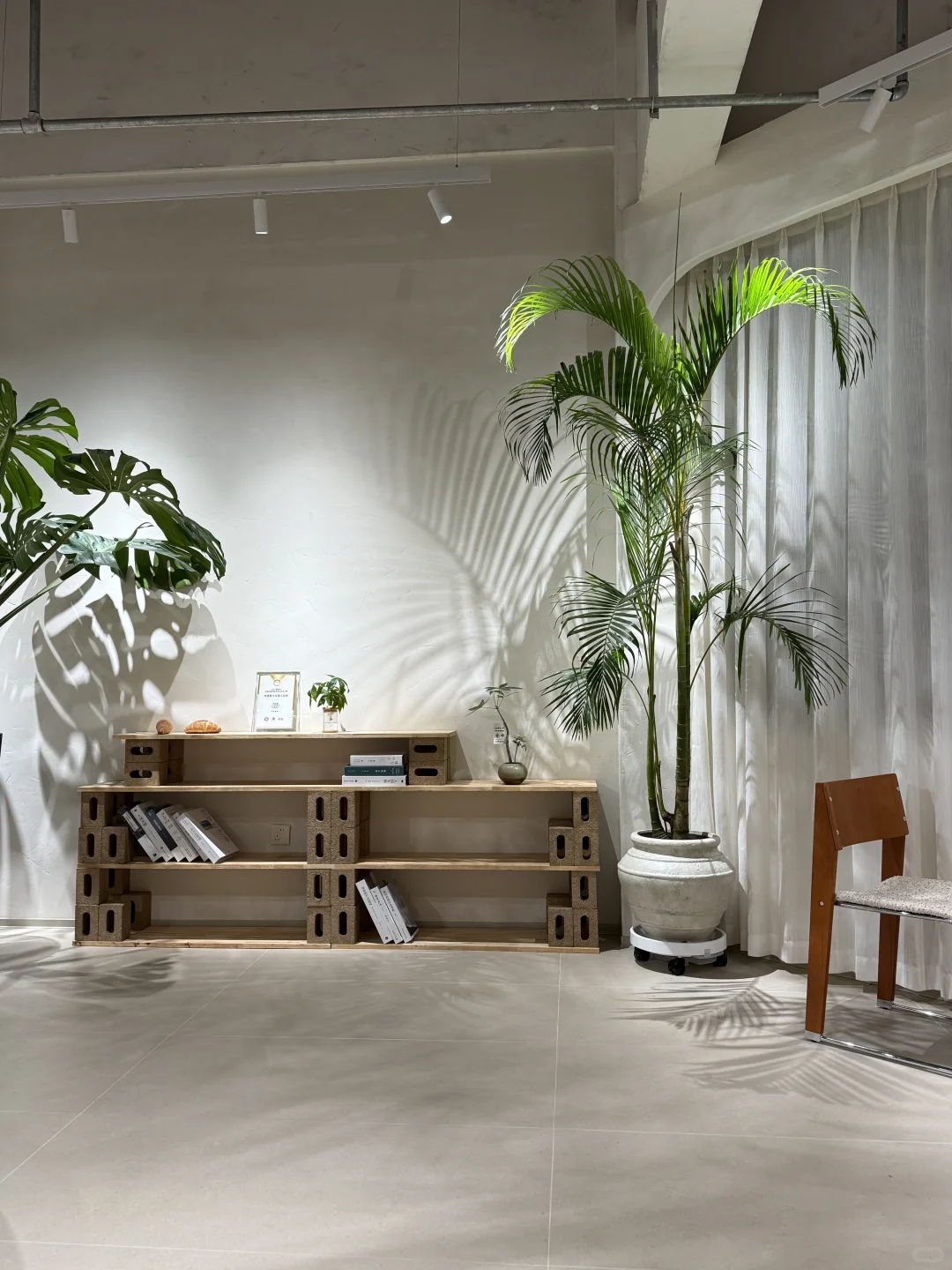 徐州剪子股菜市｜阿蛋弗弗🆕🍞