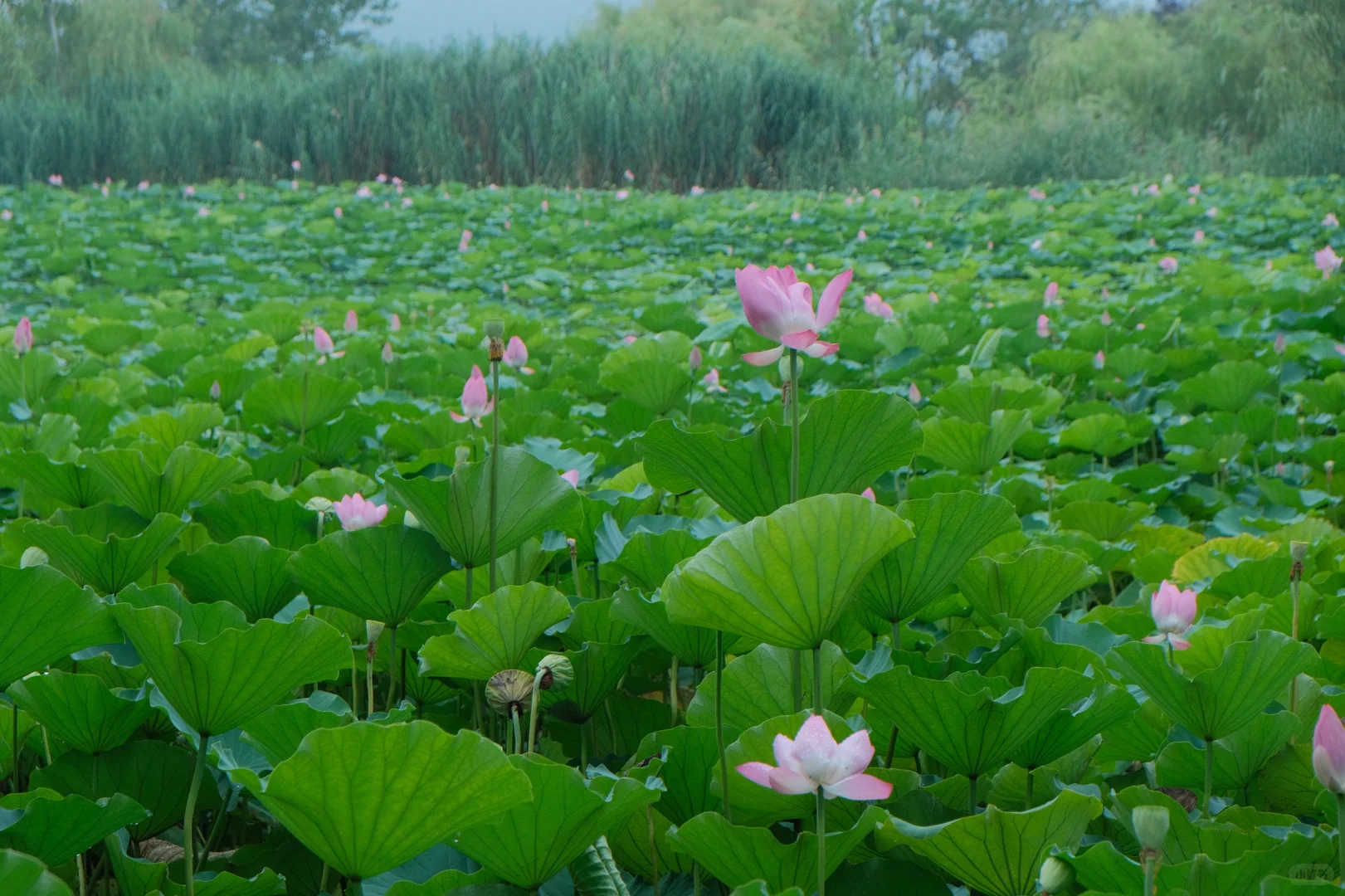 住上了徐州最美酒店（附攻略）