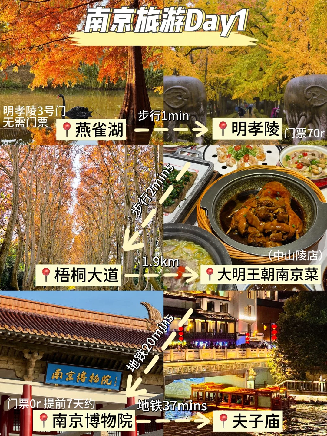 📌11.15南京旅游已回。两个人都奔溃了😭