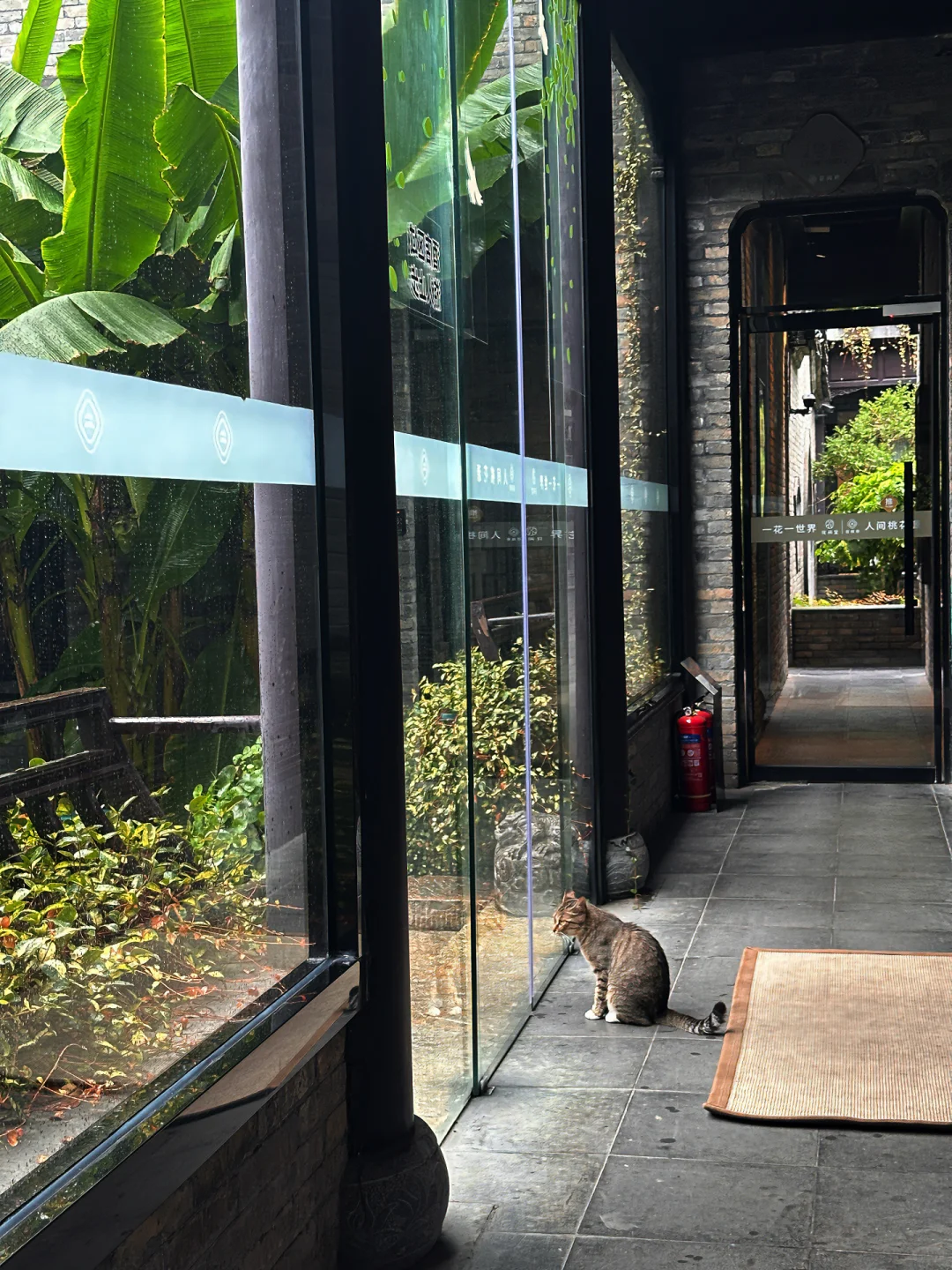 住上了徐州最美酒店（附攻略）